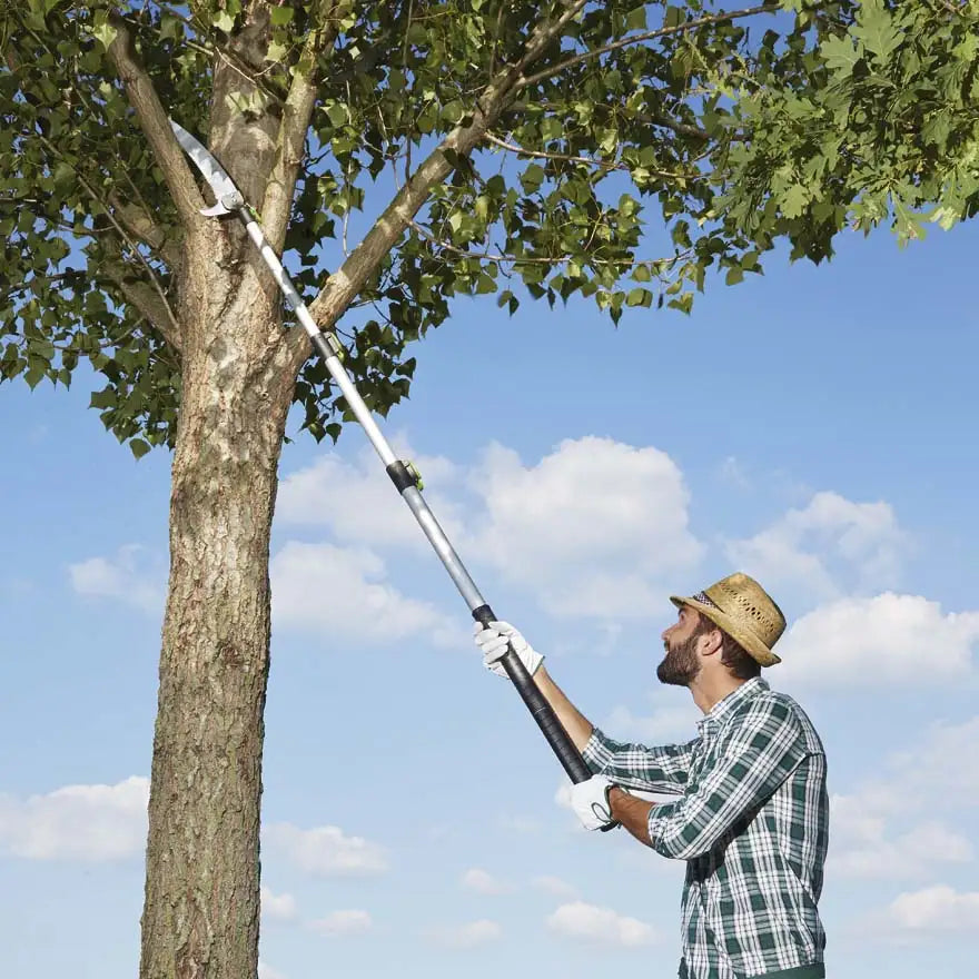 SEGACCIO SEMIARCO ASTA TELESCOPICA