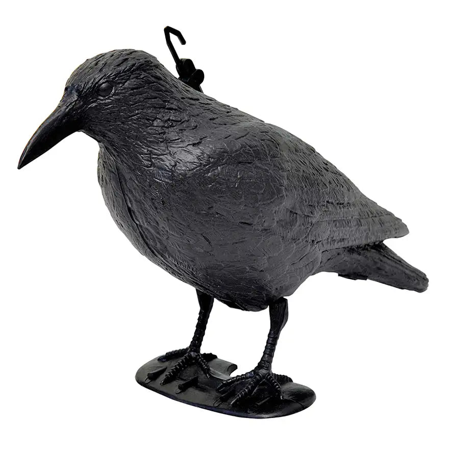 CORVO SPAVENTAPASSERI