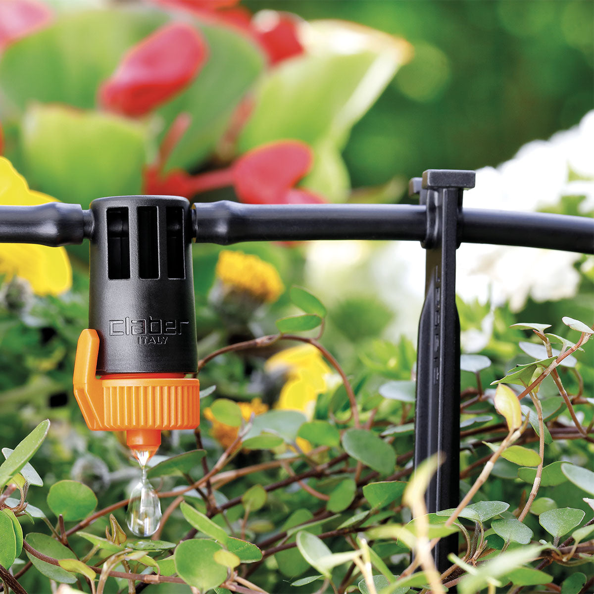 PICCHETTO PER CAPILLARE