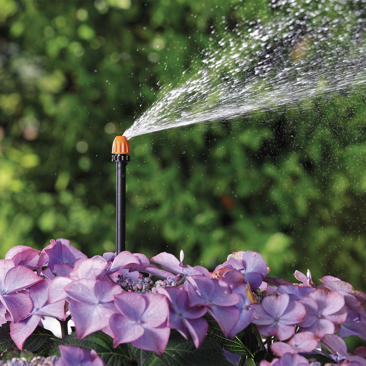 MICROIRRIGATORE 90 BLISTER