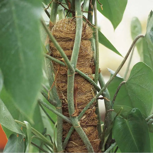 TUTORE FIBRA DI COCCO.D 50 H.120 CM