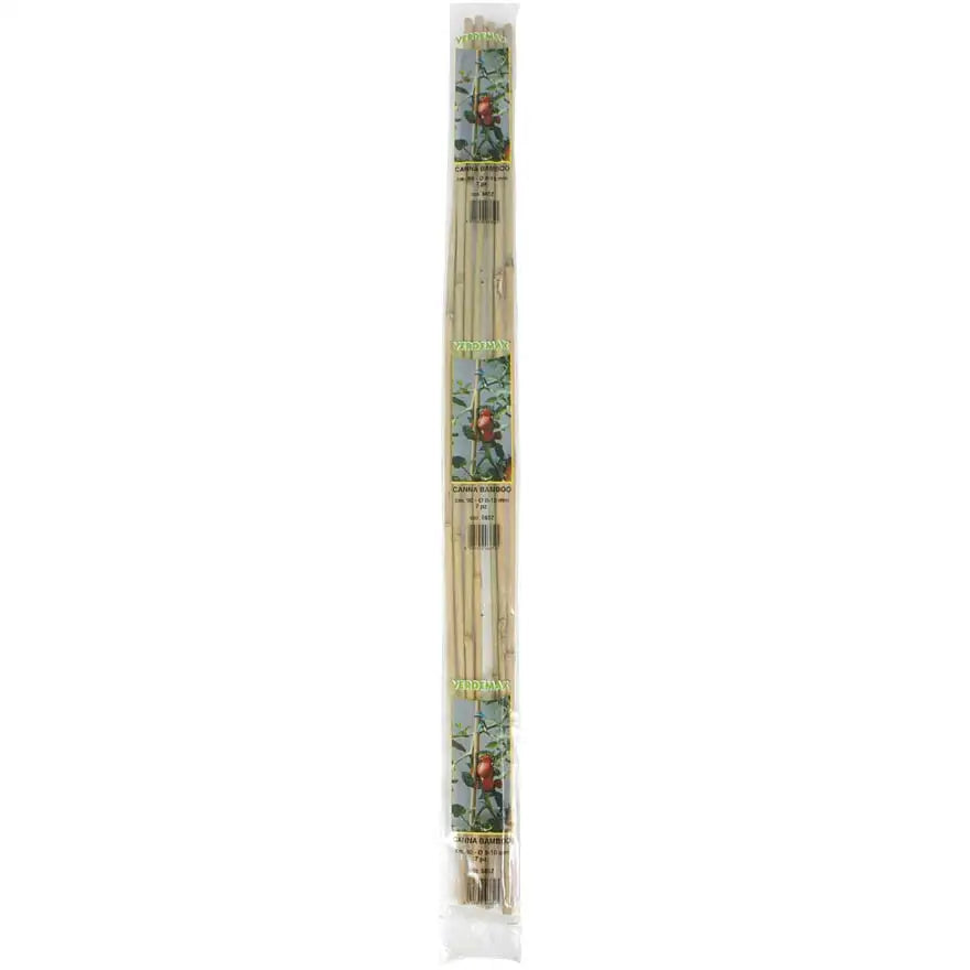 CANNA BAMBOO H.150CM D.12-14MM,PZ.3