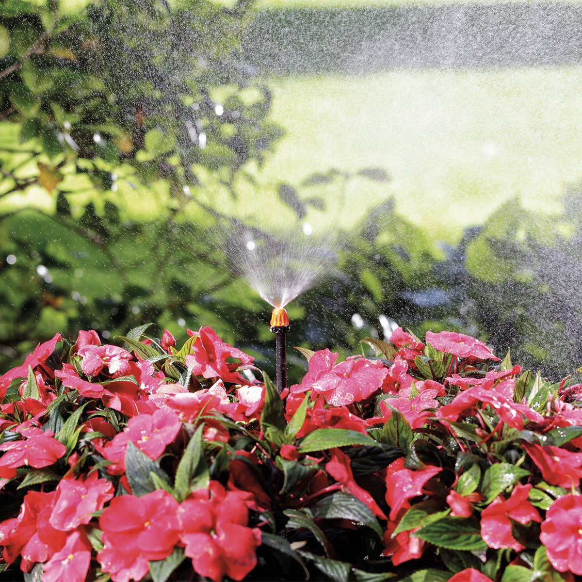 MICRONEBULIZZATORE 360