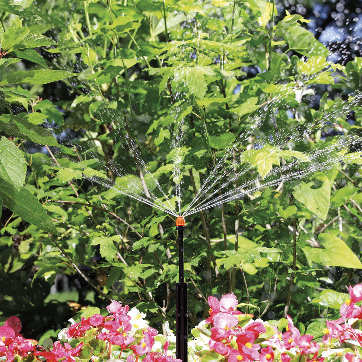 MICROIRRIGATORE 360 BLISTER