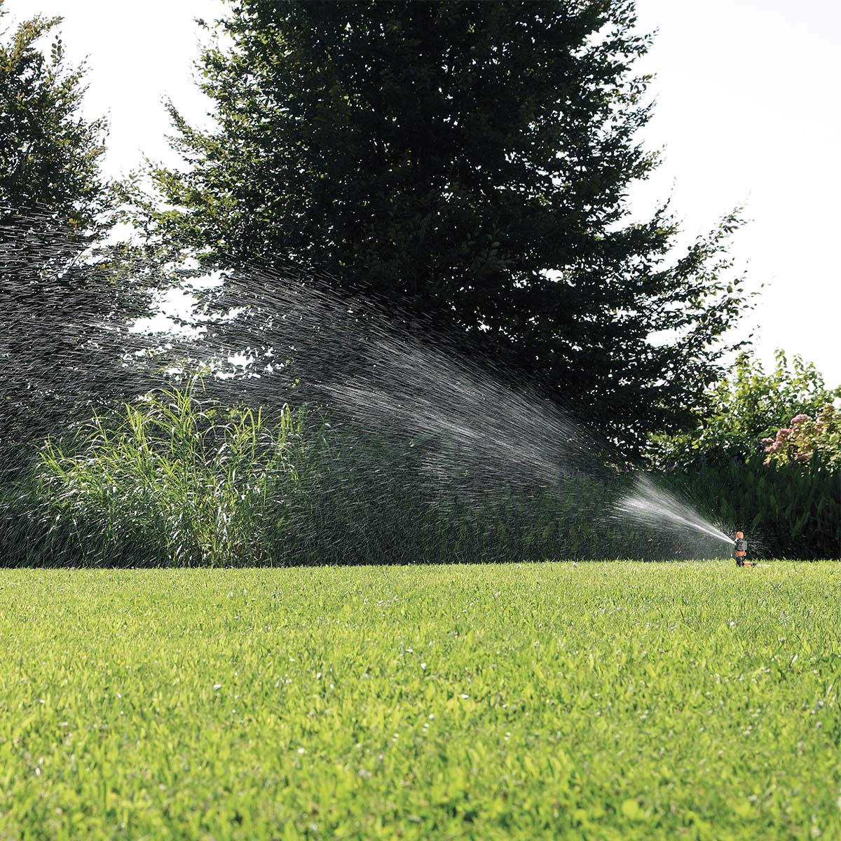 IMPACT PLASTIC SPIKE