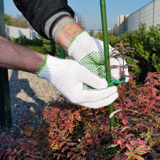 GUANTO COTONE MULTIUSO TG.M