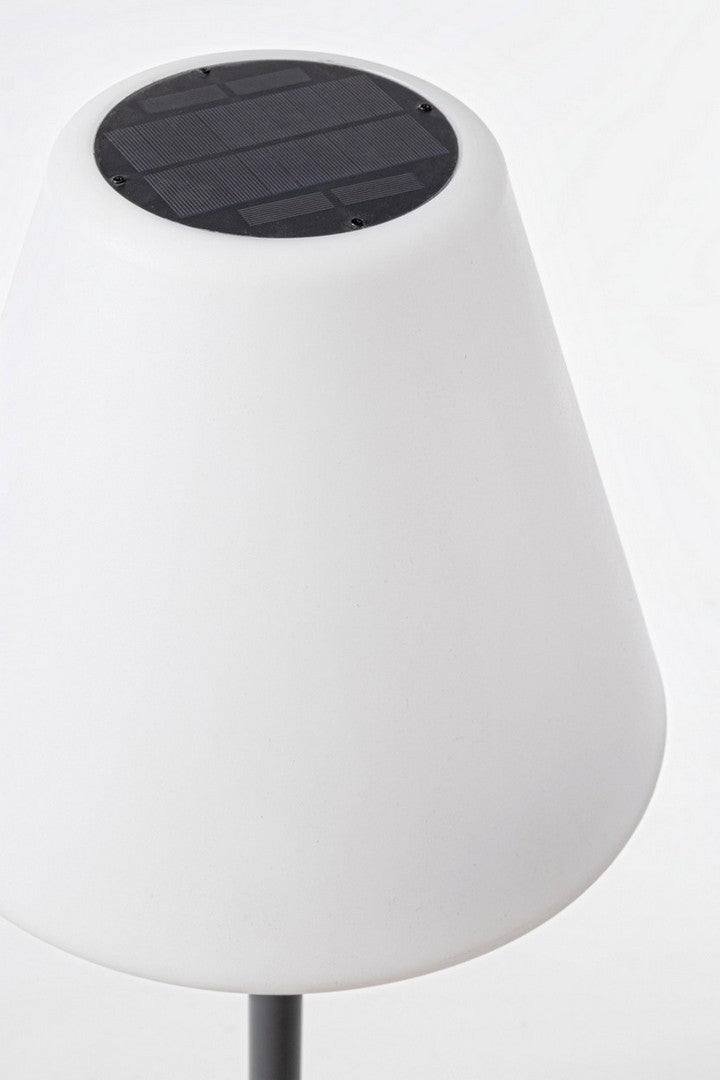 PIANTANA SOLAR LED SPEAKER PE H170