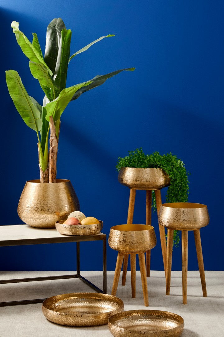 PIANTA BANANO C-VASO 14FOGLIE H135