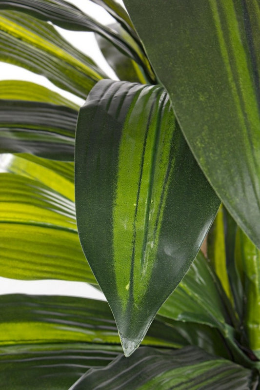 PIANTA DRACENA C-VASO 43FOGLIE H88CM