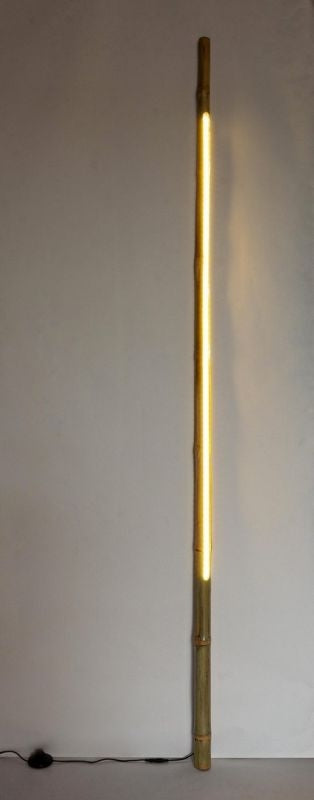 PIANTANA LED TUBO BAMBOO H200