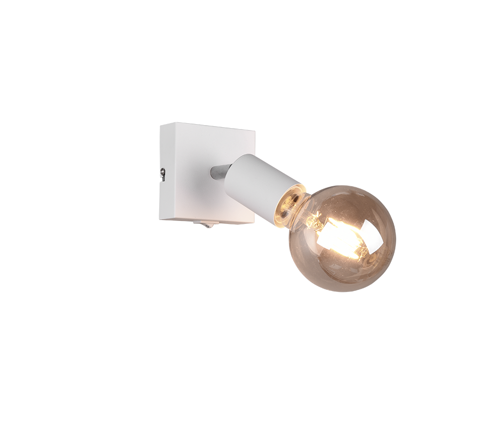 REALITY FARETTO VANNES