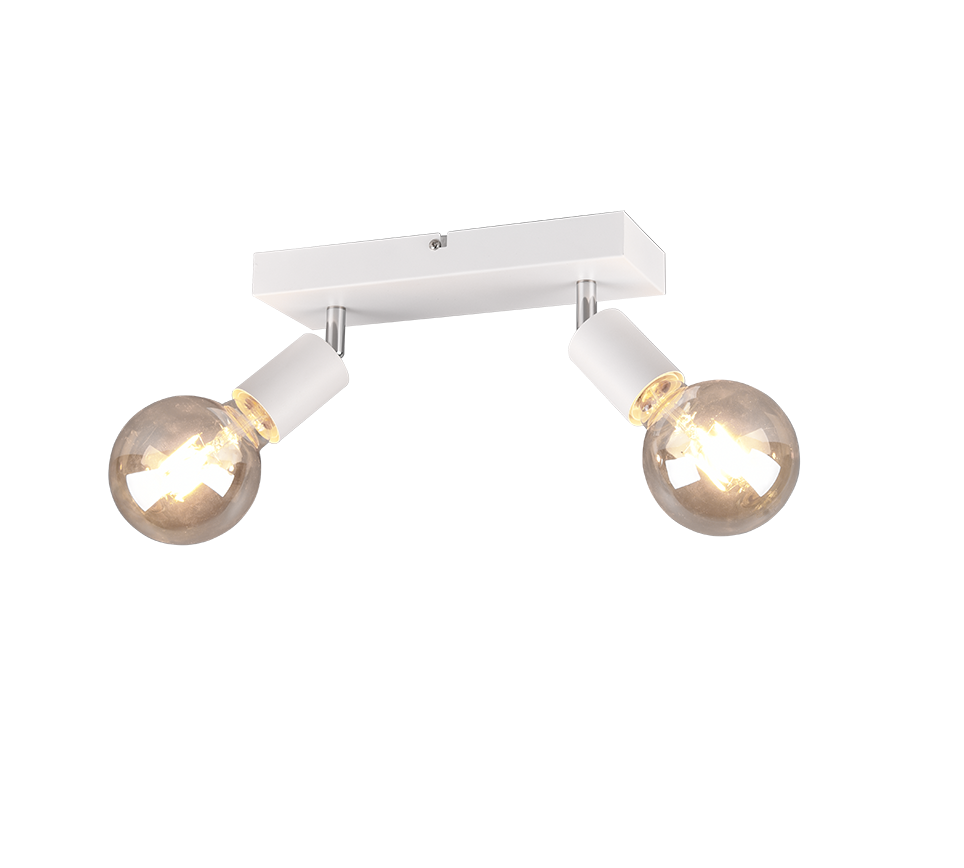 REALITY FARETTO VANNES