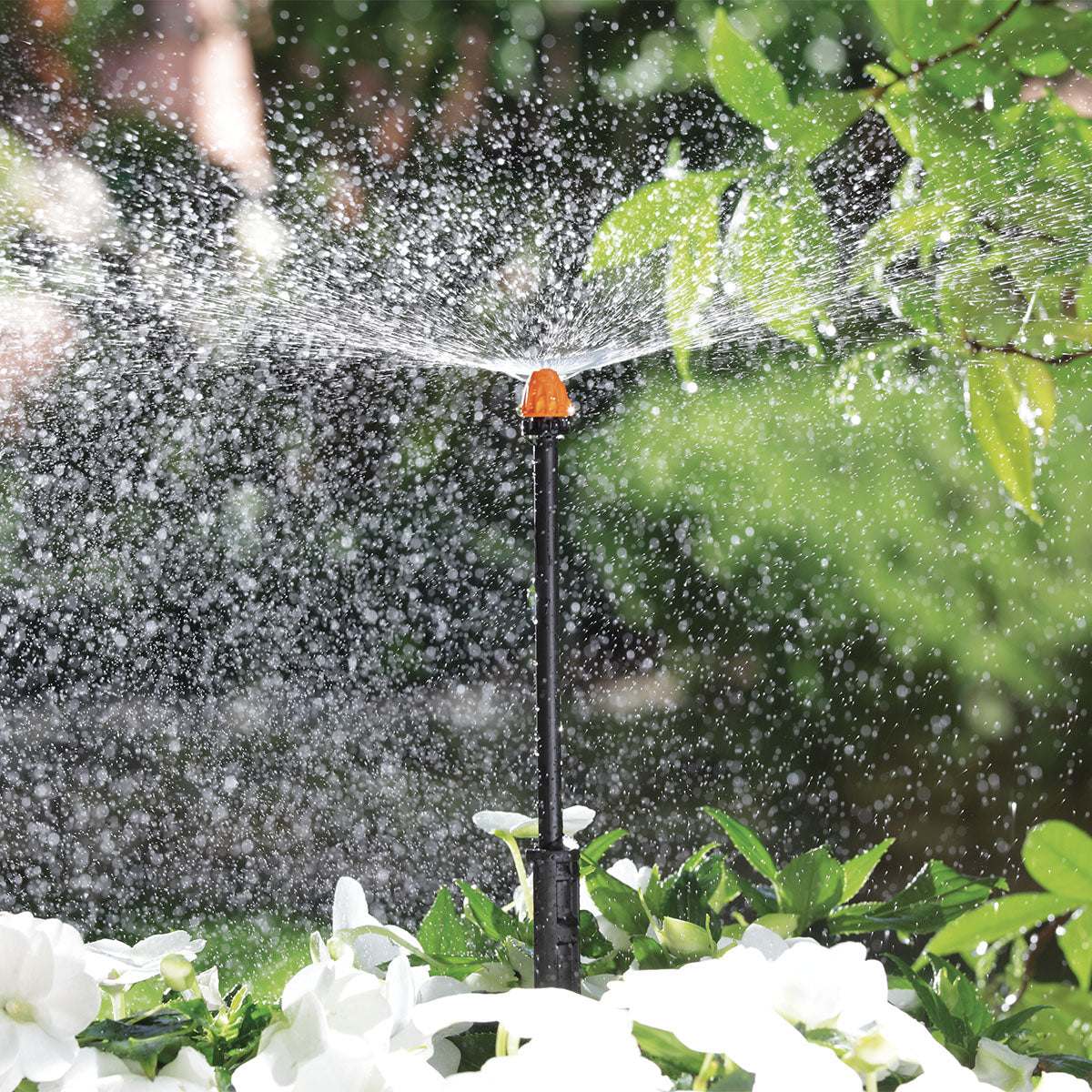 MICROIRRIGATORE 180  BLISTER