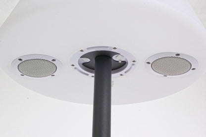 PIANTANA SOLAR LED SPEAKER PE H170