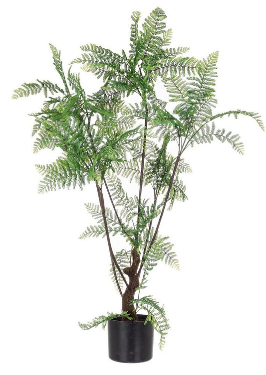 PIANTA FELCE C-VASO 75 FOGLIE H108