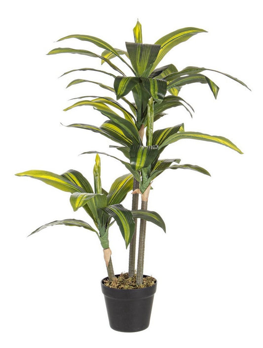PIANTA DRACENA C-VASO 43FOGLIE H88CM