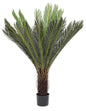 PIANTA PALMA CYCAS  C-VASO 28FOGLIE H120