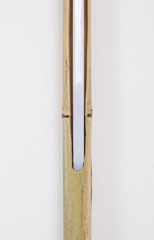 PIANTANA LED TUBO BAMBOO H200